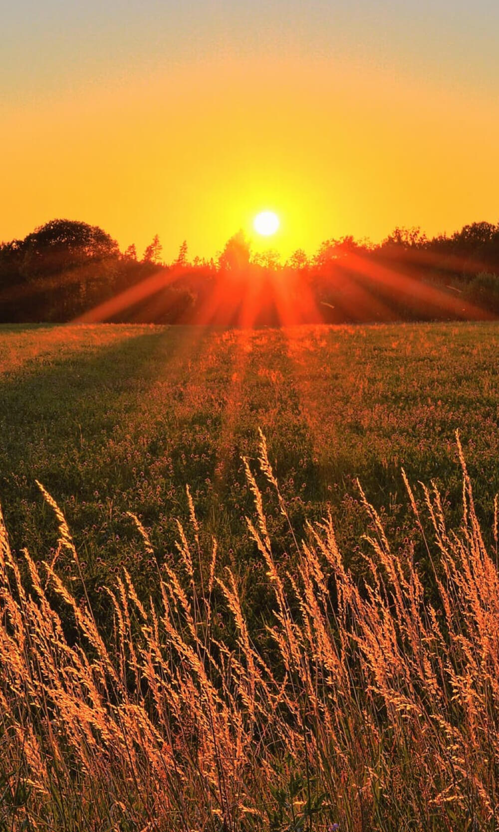 photo coucher de soleil